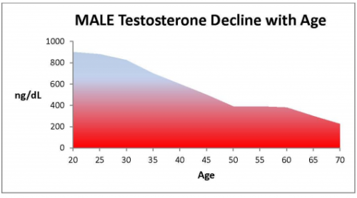 Dude! Here's 5 Ways to Increase Testosterone Naturally