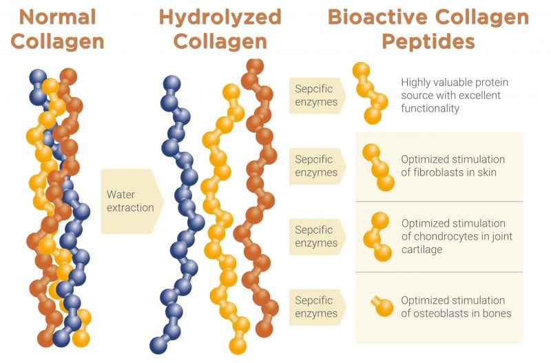 Collagen Peptides and Why You Should Take Them | Family Health Chiropractic