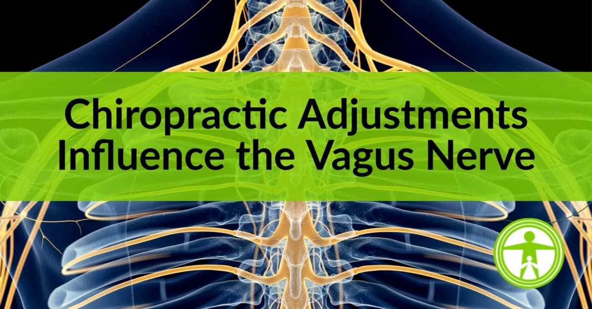 chiropractic-adjustments-influence-the-vagus-nerve