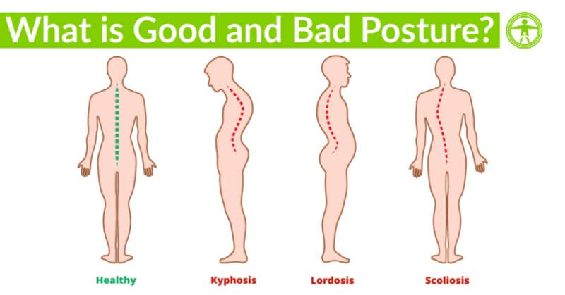 Austin Chiropractor Myths About Good And Bad Posture 